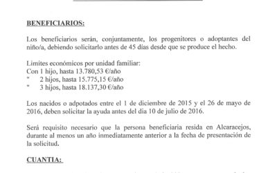 PROGRAMA DE AYUDAS  ECONÓMICAS POR NACIMIENTO, ADOPCIÓN, ACOGIMIENTO PREADOPTIVO O SITUACIÓN EQUIVALENTE EN CASO DE ADOPCIÓN INTERNACIONAL