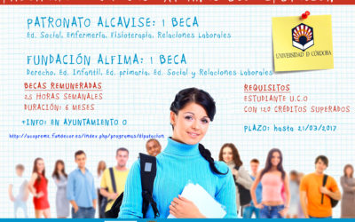 PROGRAMA DE 2 BECAS EXTERNAS UCO – DIPUTACIÓN