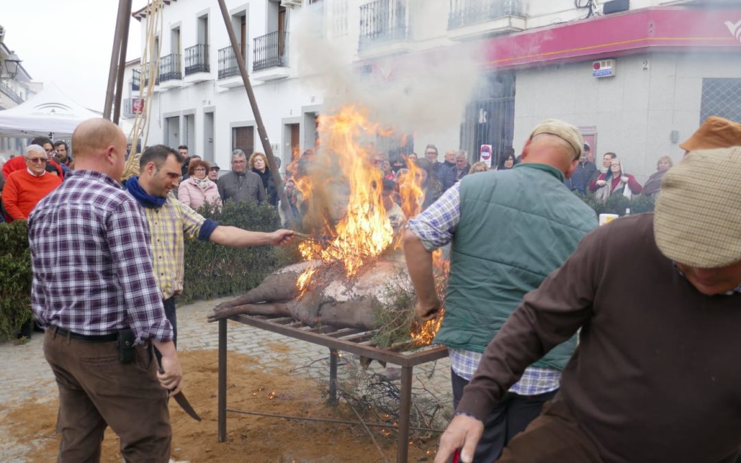 La Fiesta de la Matanza llena las calles de Alcaracejos en una jornada de tradición en torno a la gastronomía