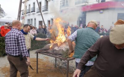 La Fiesta de la Matanza de Alcaracejos da inicio a las celebraciones en torno al cerdo ibérico de Los Pedroches