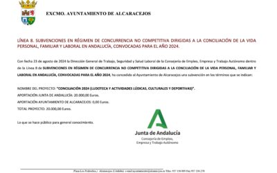 Subvenciones dirigidas a la conciliación de la vida personal, familiar y laboral en Andalucía